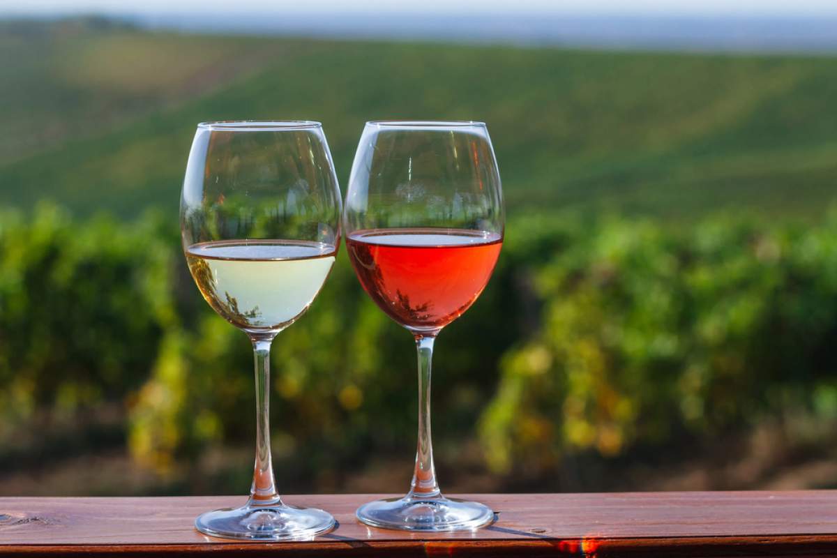 Turizem in gostinstvo MLIN, Turk Slavko s.p.