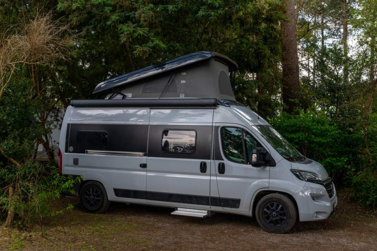 







Camping Zelen

