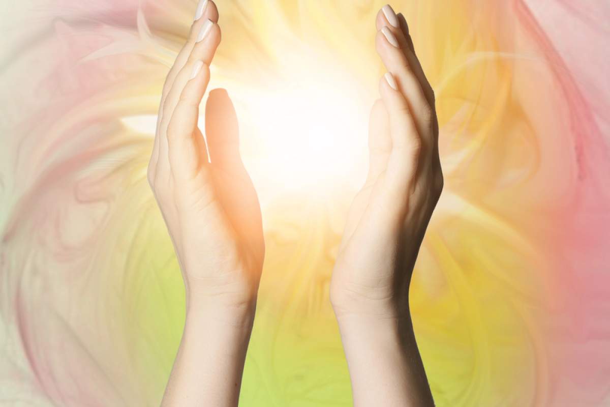 Bioenergetische Untersuchungen