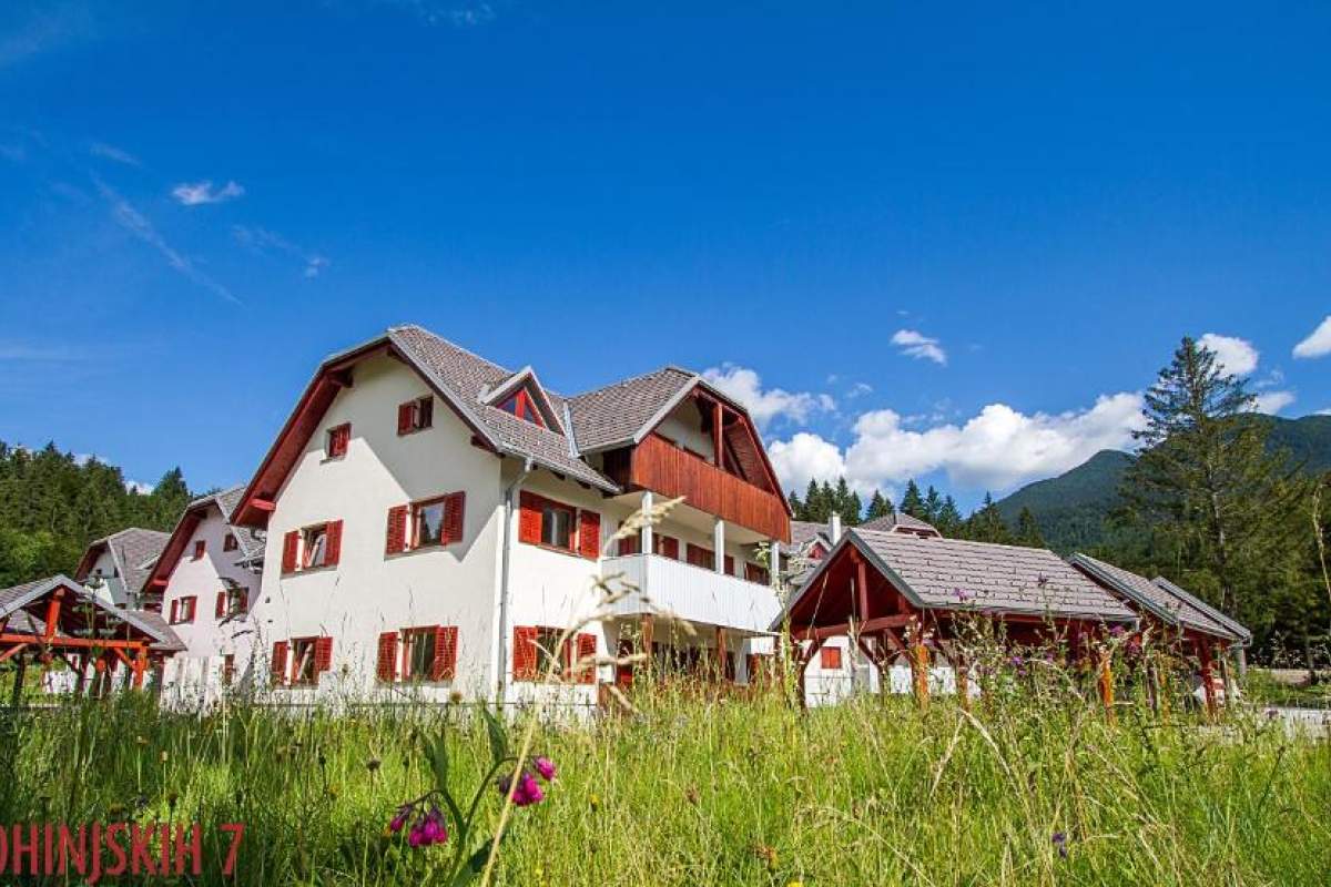 Bohinjskih 7