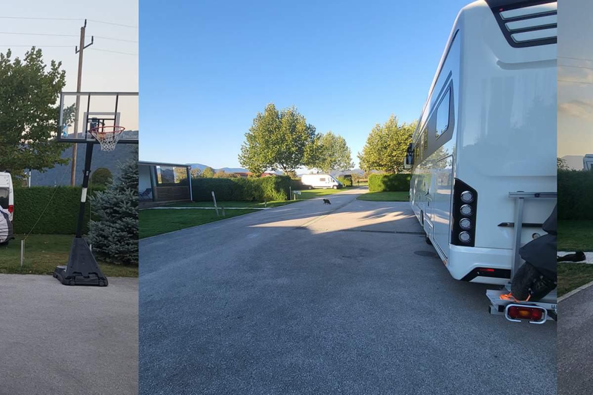 Camping Zelen