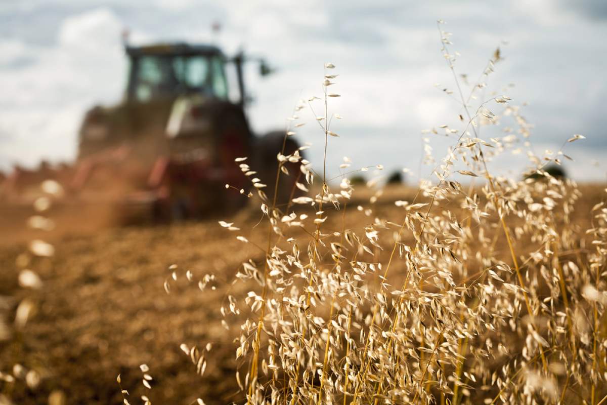 Traktorplattformen – Ein unverzichtbares Hilfsmittel in der Landwirtschaft