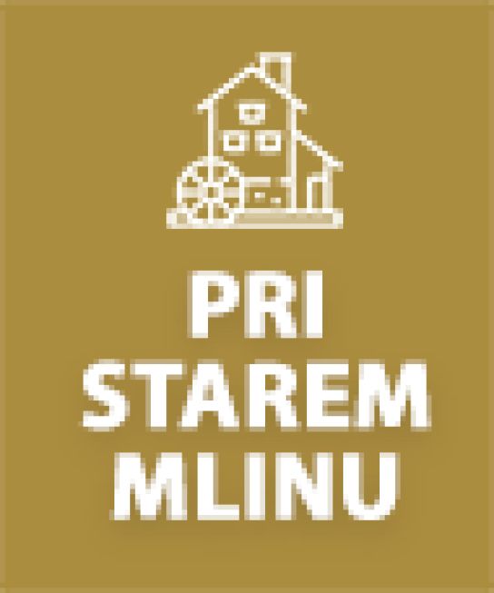 Turizem pri starem mlinu