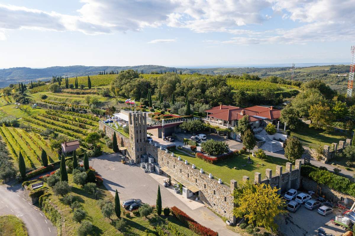 Wine cellar Santomas