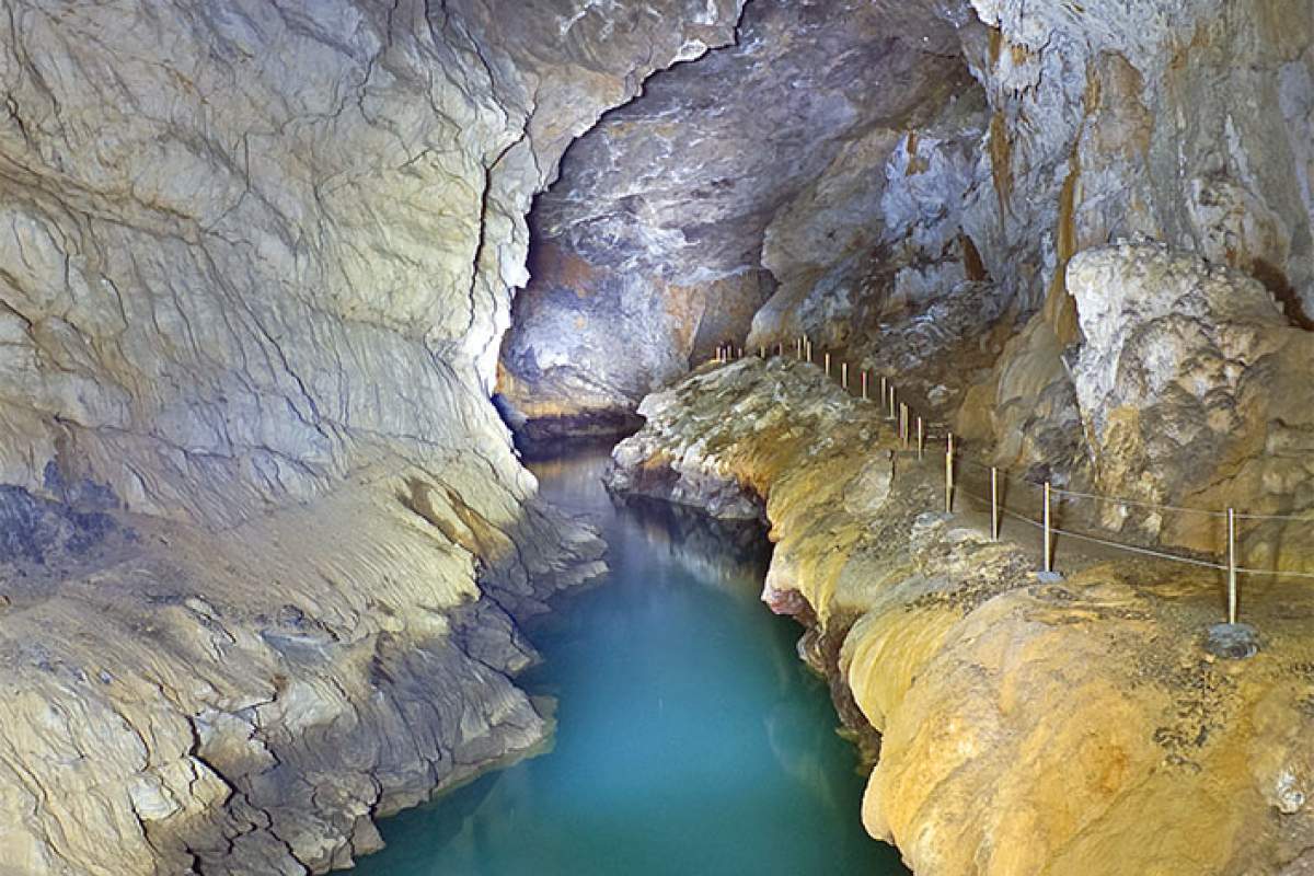 







JAMARSKO DRUŠTVO PLANINA

