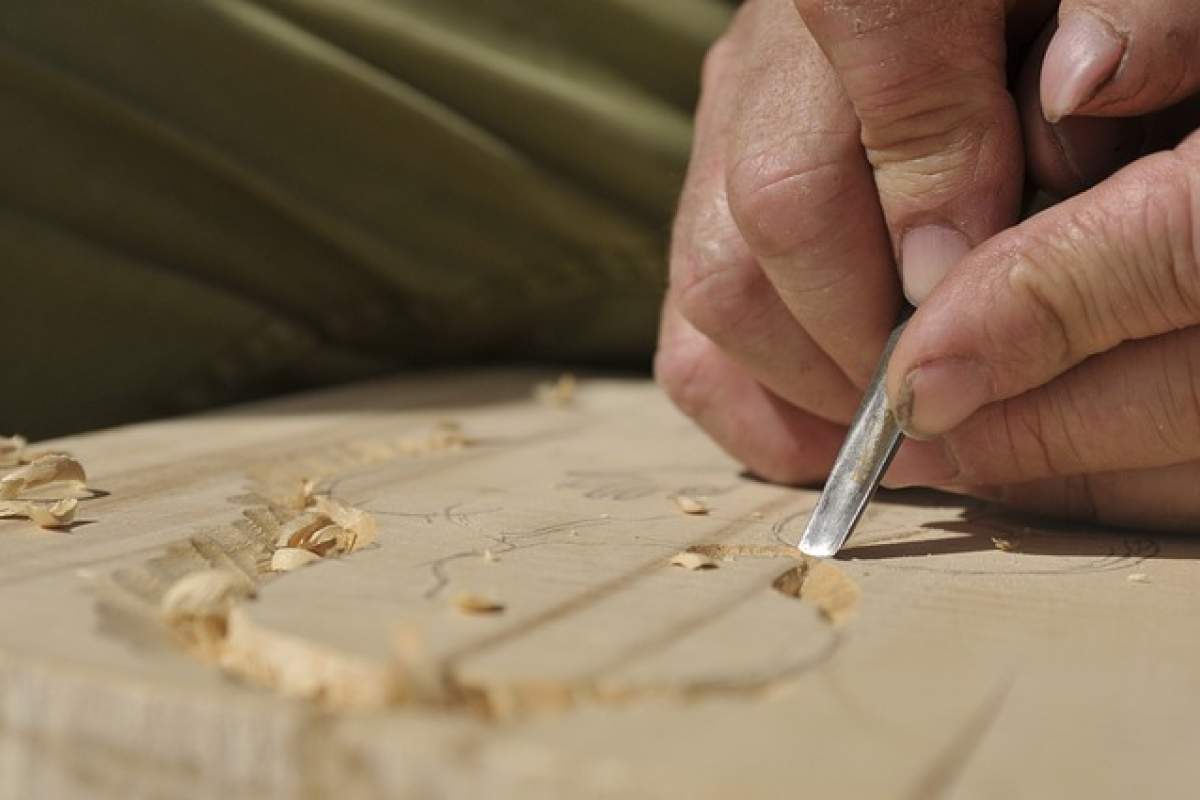 LESARSTVO POGOREVC, Jan Čegovnik s.p.