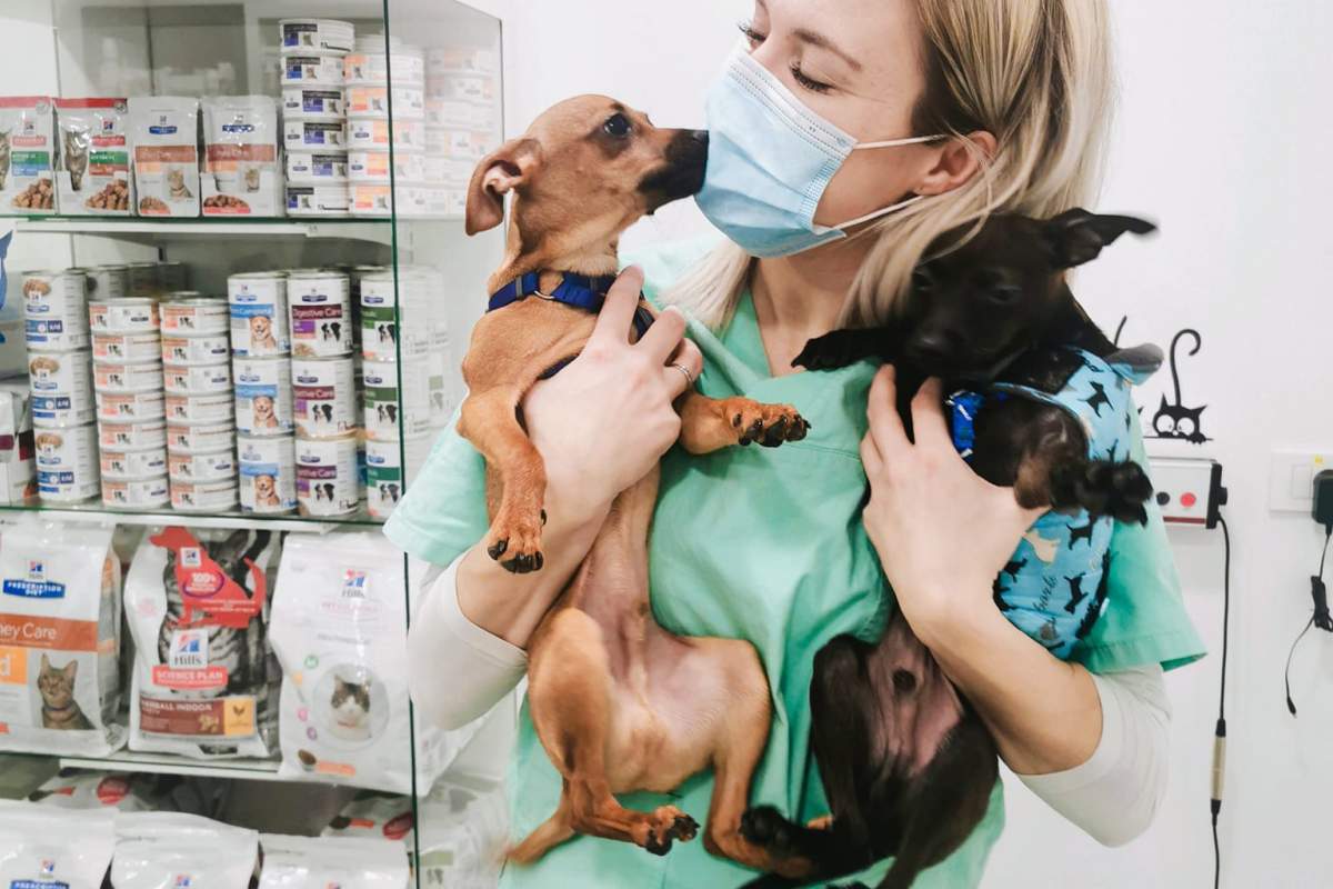 Veterinarska ambulanta Vet Medica Portorož, d.o.o.