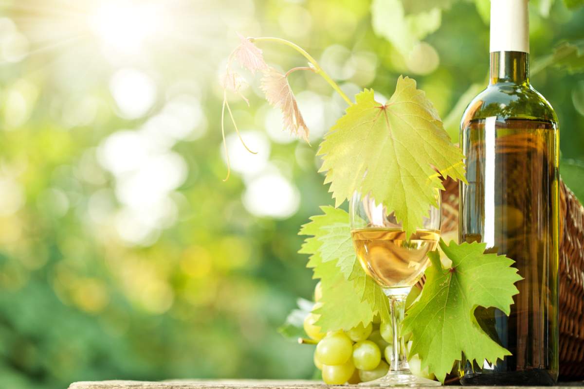 Consortium Paulinum d.o.o.