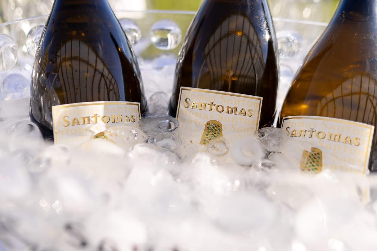 







Wine cellar Santomas

