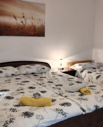 Pet-friendly apartment with parking, Primorska