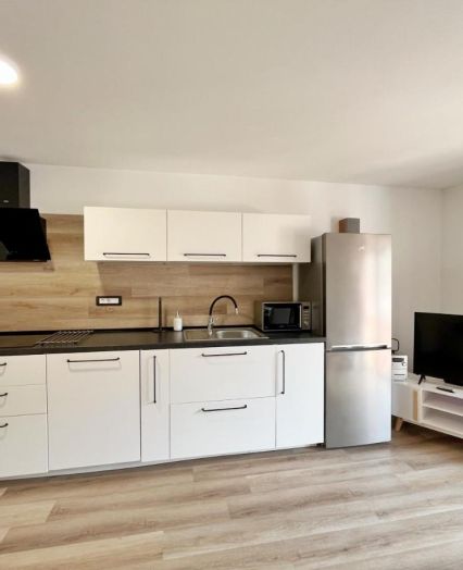 Affordable apartment Kranjska Gora