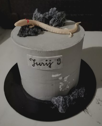 Custom-made cakes Postojna