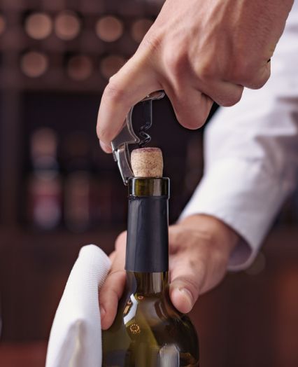 Siete invitati al nostro agriturismo PRI RJAVČEVIH, vicino a Nova Gorica.