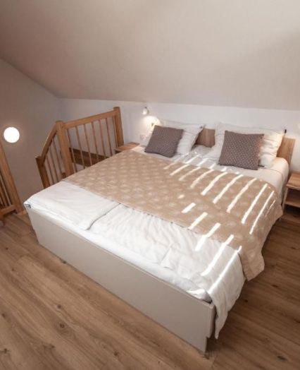 Family apartment for rent in Bohinj