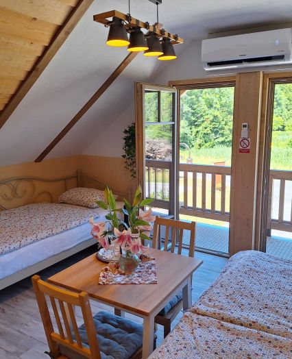 Apartments for rent Pomurje