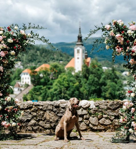 Flower decoration for weddings
