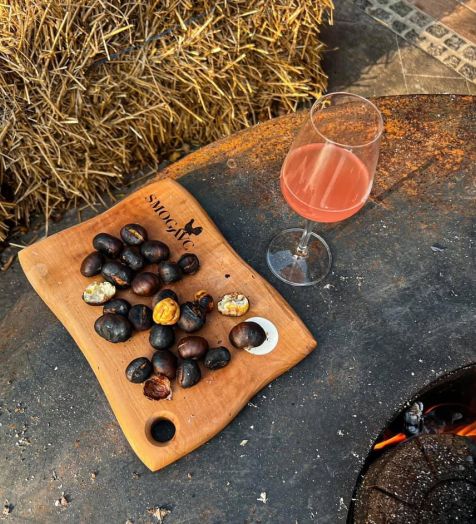 Seasonal culinary experiences Zreče