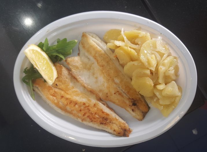 The best sea bream Koper