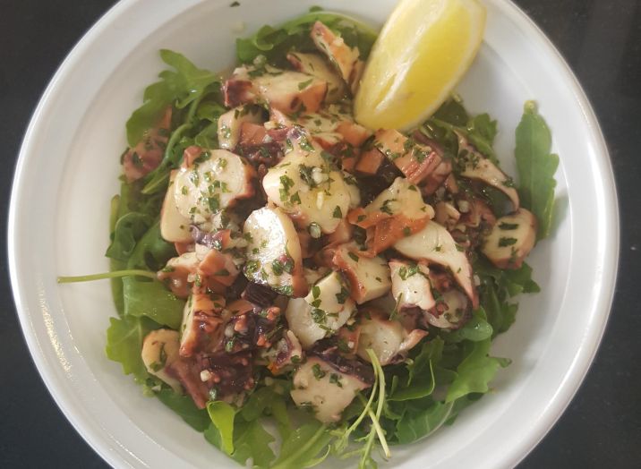 Octopus salad Koper