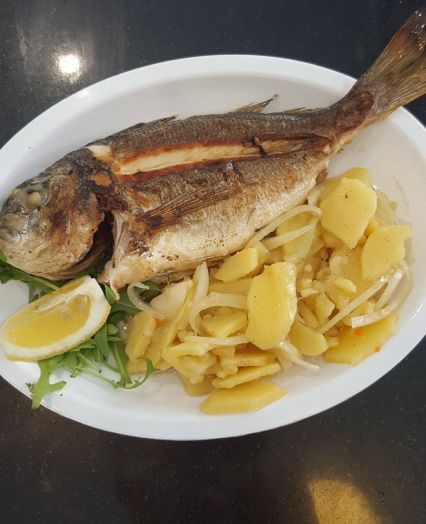 Sea bass Koper