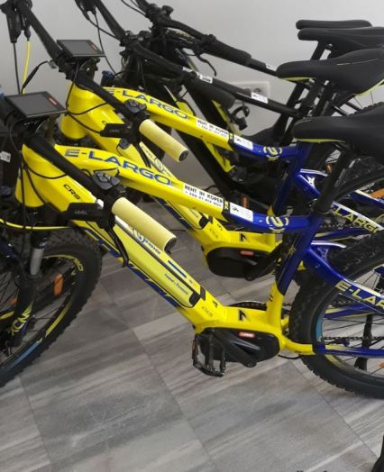 Bike rental