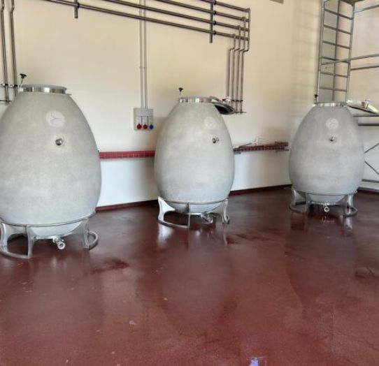 Concrete barrels for wine Slovenia