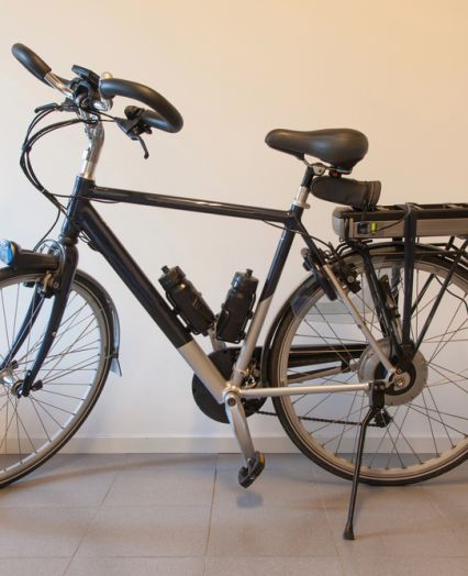 Electric bike rental