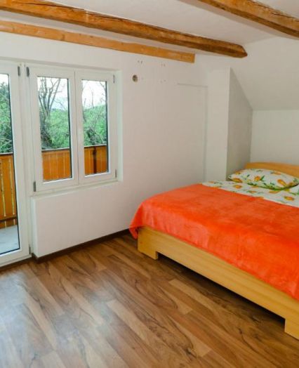 Family rental in nature Kranj