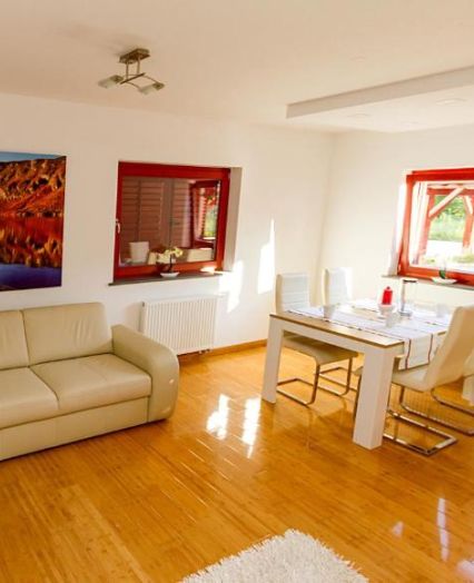 Sunlit living room of one of the ground floor apartments Bohinj