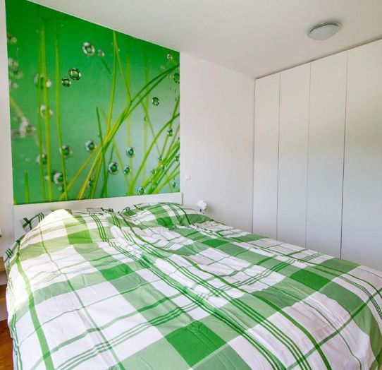 Double bed bedroom with green checkered sheets and closet