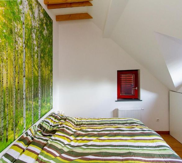 Apartment for friends Bohinj