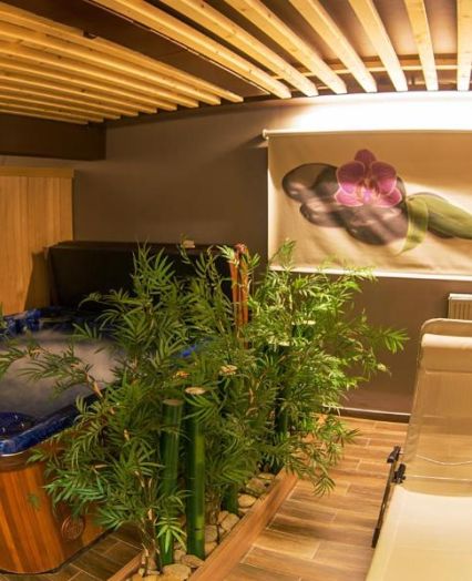 Family apartments Bohinj