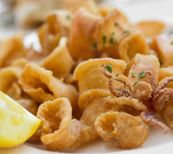 fried calamari