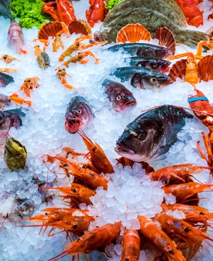 fresh seafood on ice