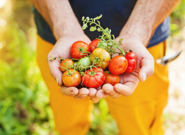 Gutes Obst und Gemüse, Slowenien