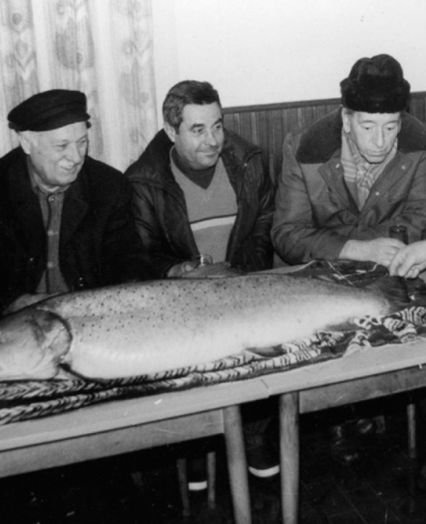 fly fishing Savinjska