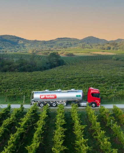 International transport of goods