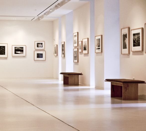 Unser Angebot an Kunstwerken deckt eine Vielzahl von Geschmäckern