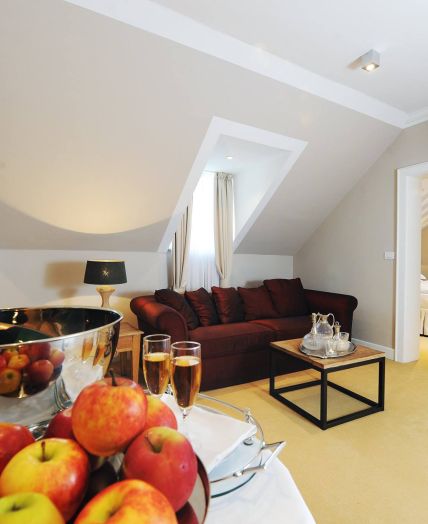 suite in a luxury hotel Ljubljana
