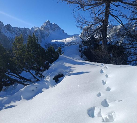 Julian Alps Guided tour