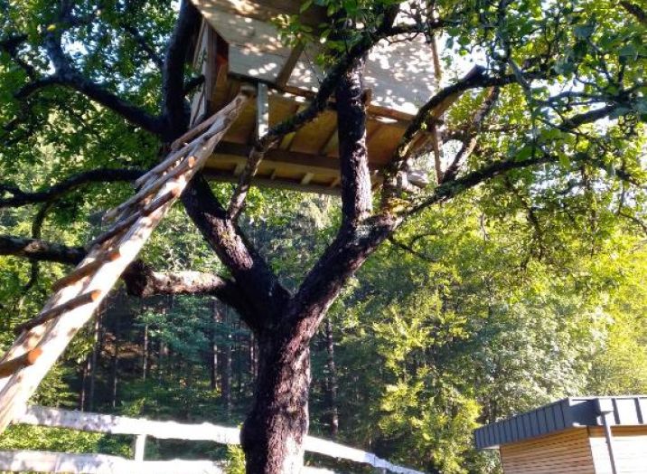 TREEHOUSE