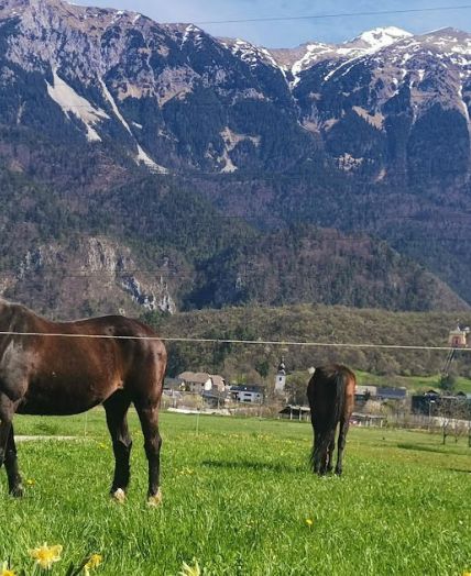 Affordable parking for motorhomes Slovenia