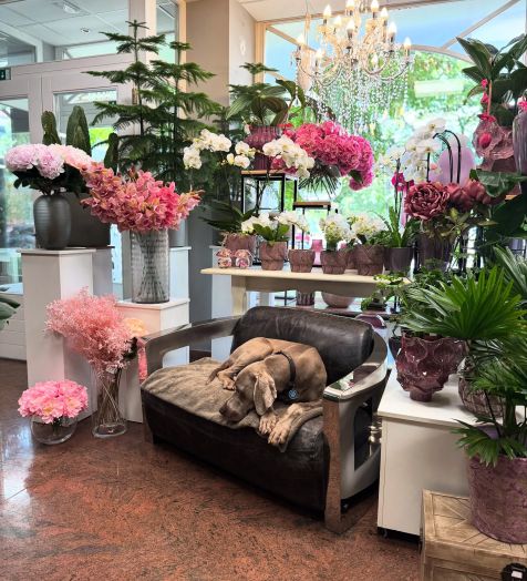 Floral decorations for hotels