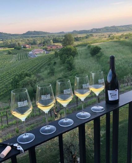 white and red wines from Goriška