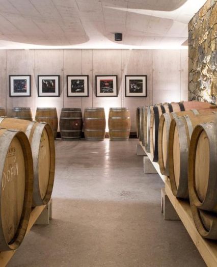 Quality white and red wines from Goriška