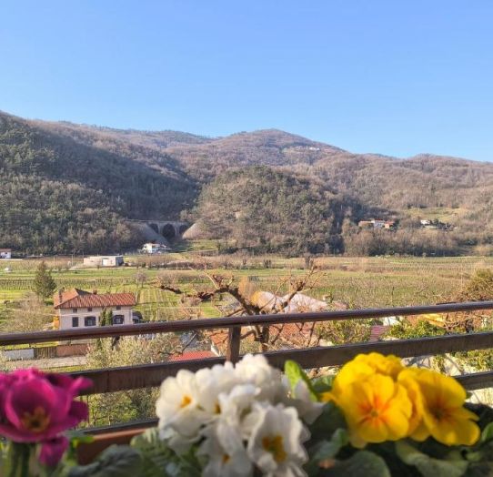 Apartment in Branik