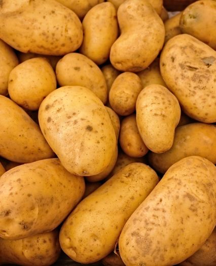 Sale of instant mashed potatoes, potato cheese