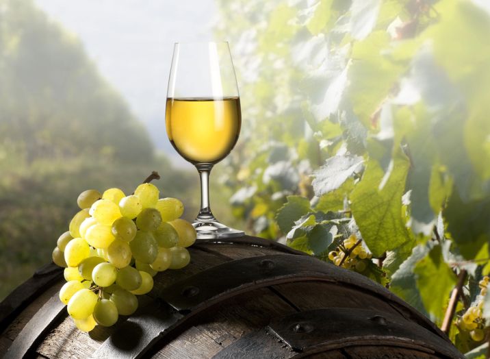white blend wines Slovenia