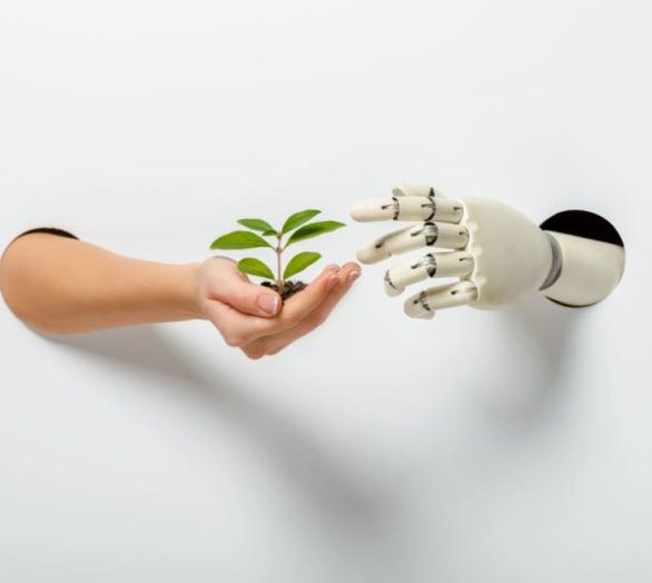 Ecology consulting Slovenia