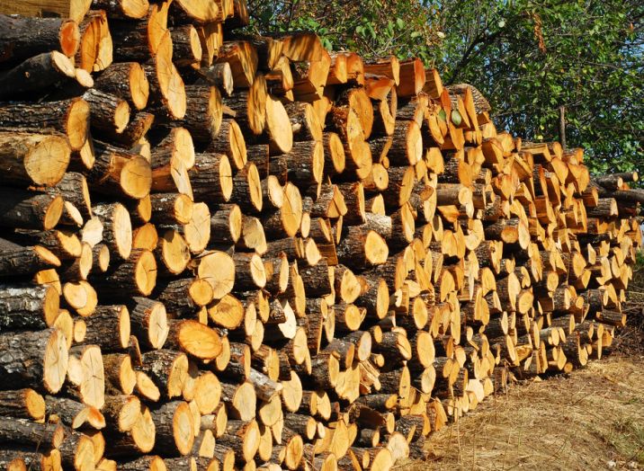 log transport Europe
